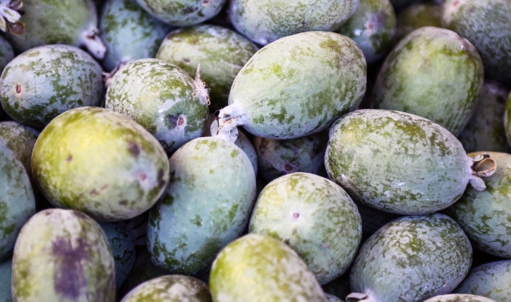 Feijoa sellowiana (O.Berg) O.Berg, 1859 