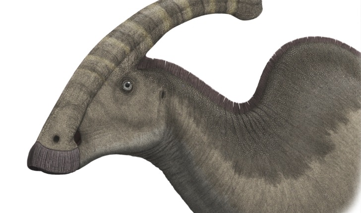 Parasaurolophus