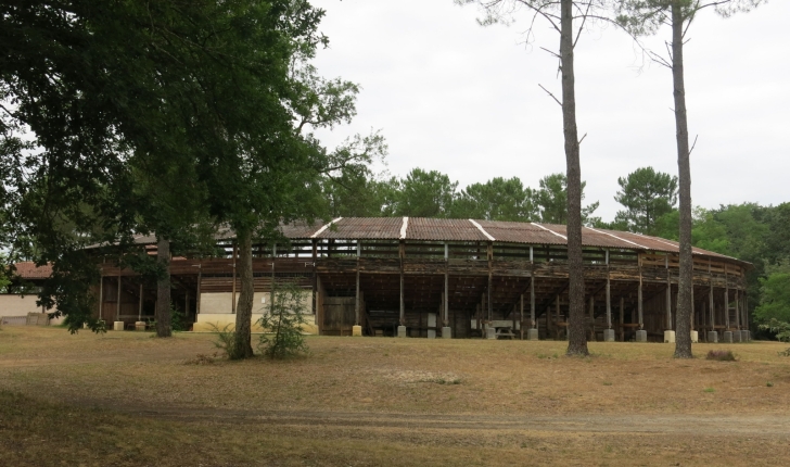 Les arènes de Brocas - crédit Parc Naturel Régional des Landes de Gascogne