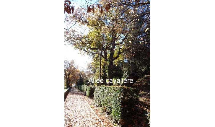 Canal-et-moulin-à-blé - allée-cavalière - crédit-Corraro-Luigi