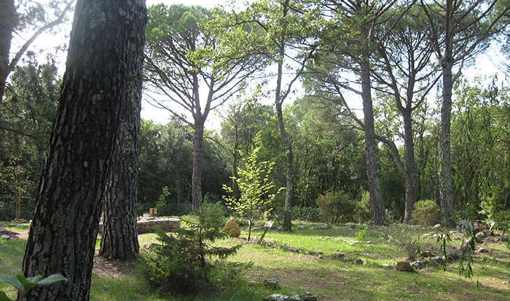 Forêt méditerranéenne (Crédits: Parc d'Aoubré)