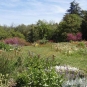 Le jardin des papillons - (Crédits Aoubré)
