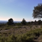 EcoBalade de St Cannat - Panorama (Crédits : Sabine Meneut)