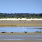 Baie de Somme - La Maye (Crédits: Stéphanie Ritz)