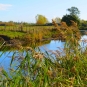 Balade en Brière (44) - randonnée dans le Parc naturel régional de Brière