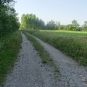 Balade de Méry-sur-Cher - crédit Sologne Nature Environnement