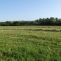 Balade de Méry-sur-Cher - crédit Sologne Nature Environnement