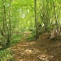 Chemin-crédit-Office de tourisme-de-Vendôme