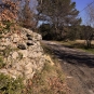 EcoBalade de St Cannat (Crédits : Sabine Meneut)