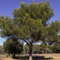 EcoBalade de St Cannat (Crédits : Sabine Meneut)