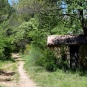 Sentier dans la forêt (Crédits : Léa Charbonnier)