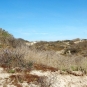 Sentier de la dune Marchand (Crédits : Ecobalade)