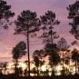 Ecobalade de Brocas - Landes (Credit: Jérôme Fouert-Pouret)