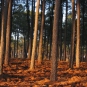 Ecobalade de Brocas - Landes (Credit: Jérôme Fouert-Pouret)