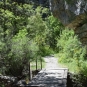 Balade de St-Génis dans les Gorges du Riou - Pays du Buëch- entre Sisteron et Serre-ponçon  (Crédits : Sabine Meneut)