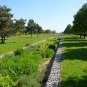 Grand-mail-balade-Vitry-Parc-lilas-Val de Marne