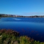 Etang du Milieu. Crédits : MNESPM