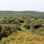 Oppidum de Saint-Antonin - Balade Montagne Sainte-Victoire (Crédits : Léa Charbonnier)