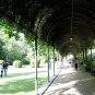 Passage dans le jardin Georges Duhamel (Crédits : Léa Charbonnier)