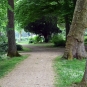 Le parc de l'arbre sec est parfait pour venir se promener à l'ombre.