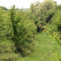 Le long de la voie romaine, la nature reprend ses droits.