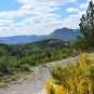 Balade de St-Génis dans les Gorges du Riou - Pays du Buëch- entre Sisteron et Serre-ponçon  (Crédits : Sabine Meneut)